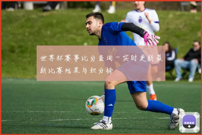 世界杯赛事比分查询 - 实时更新最新比赛结果与积分榜