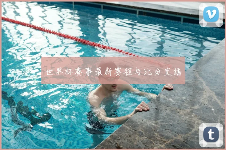世界杯赛事最新赛程与比分直播