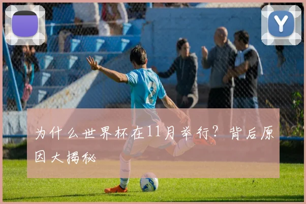 为什么世界杯在11月举行？背后原因大揭秘